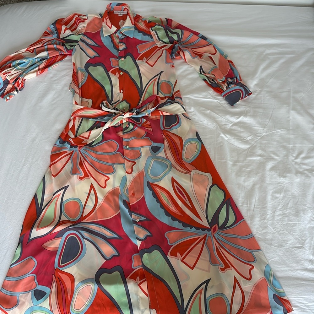Alexis Target collab maxi button up dress